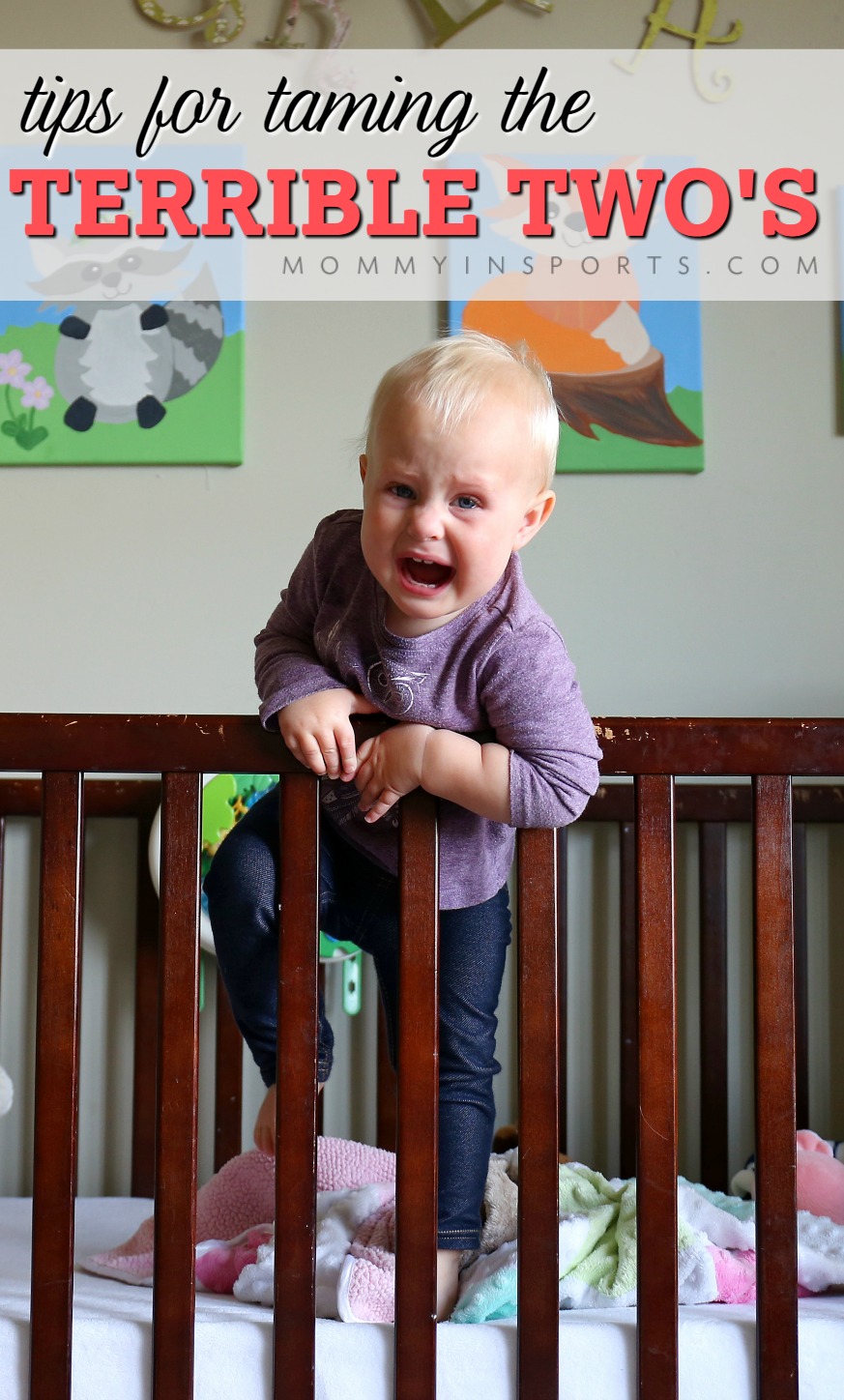 Do you struggle with your toddler? Tantrums, mealtimes, and naps...oh my! The Terrible Two's are hard, but you CAN tame them with these tips!