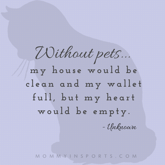 ⁬without pets quote