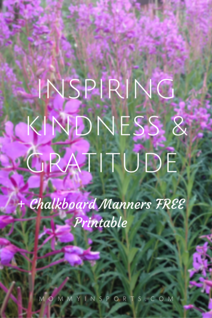 INSPIRING KINDNESS & GRATITUDE