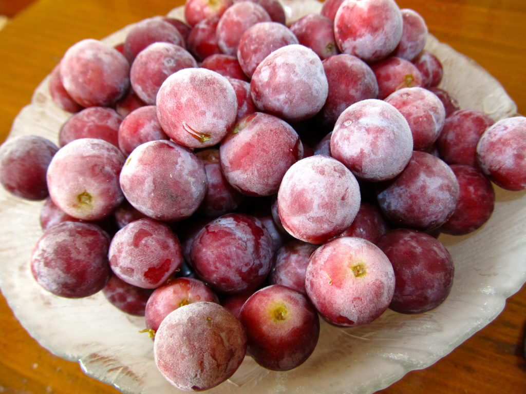 Frozen Grapes double as ice in your cooler. Top 5 summer saving beach hacks for parents!